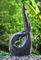 Fuentes de agua modernas de la escultura del GIMNASIO de 48 pulgadas con el OEM aceptable proveedor
