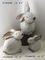 El pequeño jardín decorativo del conejo adorna los animales para la casa/el patio proveedor
